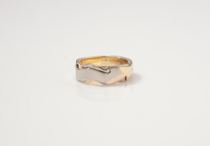 Bird of Passage Ring